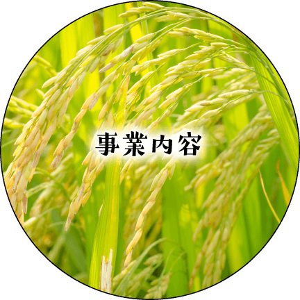 事業内容