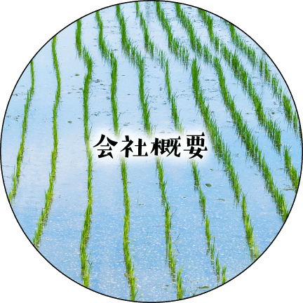 会社概要